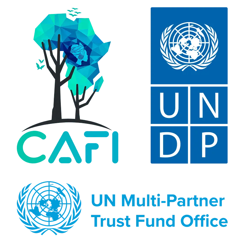 CAFI Animation